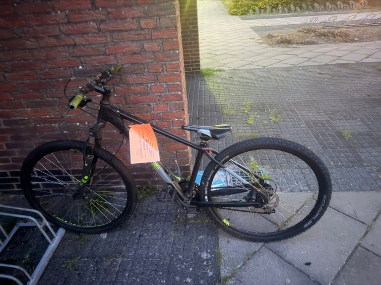 Joure, EA Borgerstraat 74 - Fiets
